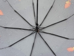 Зонт женский Zicco, арт.2285-9_product